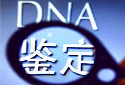 泰州司法DNA鉴定流程是什么，泰州司法DNA鉴定准确可靠吗