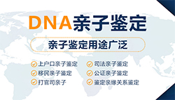 泰州司法DNA鉴定需要怎么办理，泰州司法亲子鉴定中心电话是多少