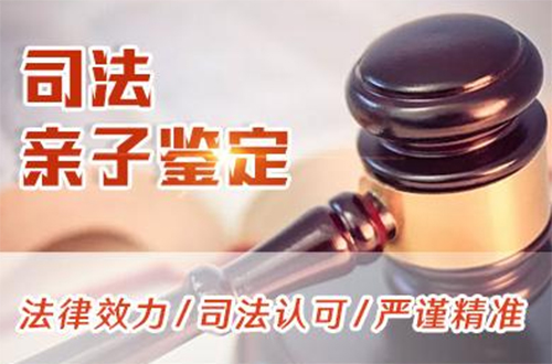 泰州司法亲子鉴定如何办理,泰州司法DNA亲子鉴定多少费用