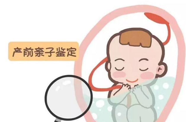 泰州刚怀孕如何确定宝宝是谁的,
