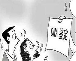 泰州血缘检测在哪里可以做鉴定，泰州亲子鉴定办理流程
